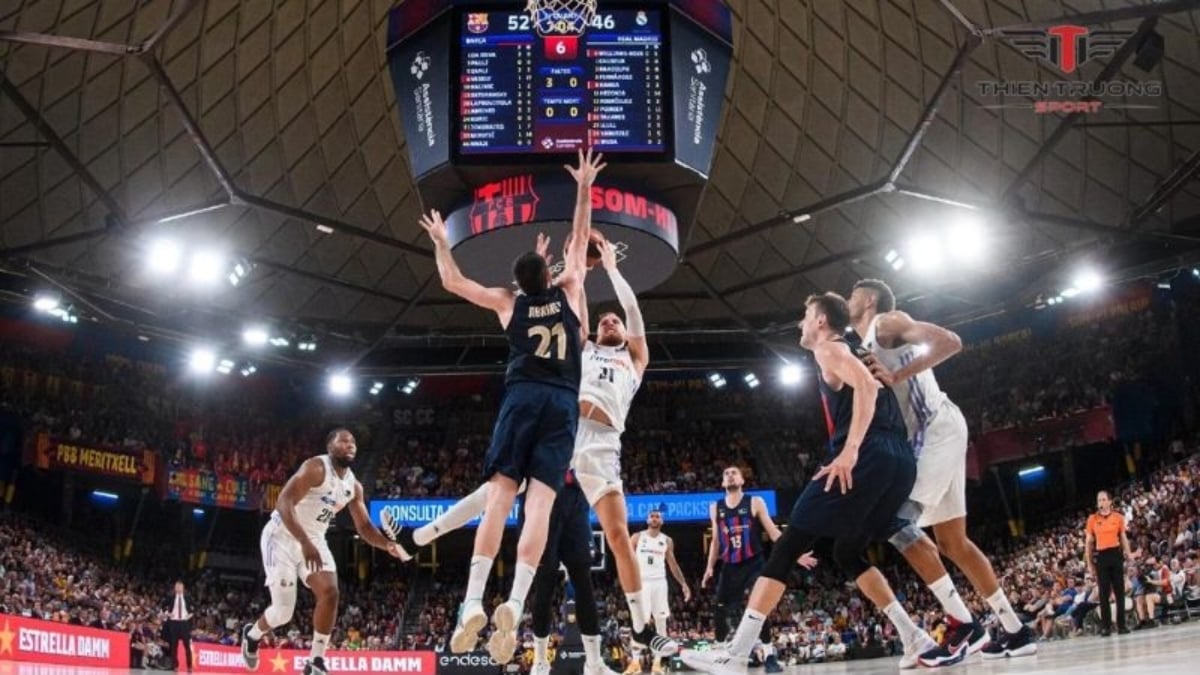 7 giải đấu bóng rổ lớn nhất hành tinh