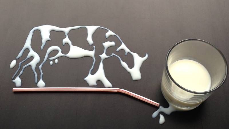 Sữa có giúp trẻ phát triển không?