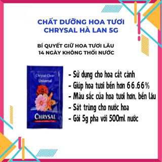 Mẹo Chăm Sóc Hoa Tươi Bền Lâu Hơn Khi Được Cắm Thành Phẩm