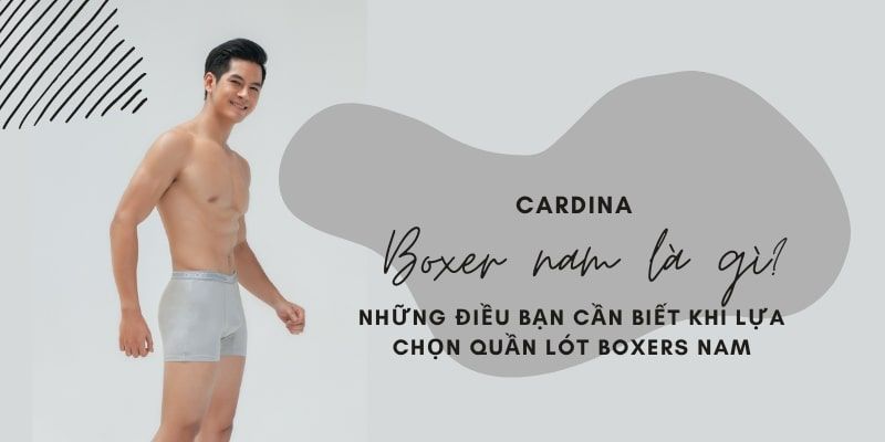 Boxer nam là gì? Những điều bạn cần biết khi lựa chọn quần lót boxers nam