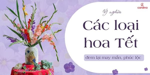 Ý Nghĩa Các Loại Hoa Tết Đem Lại May Mắn Cho Gia Chủ 2026
