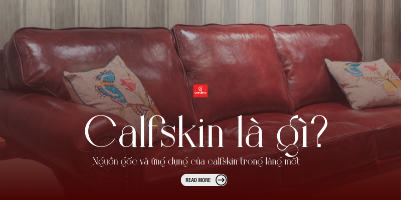 Calfskin là gì? Nguồn gốc và ứng dụng của calfskin trong làng mốt