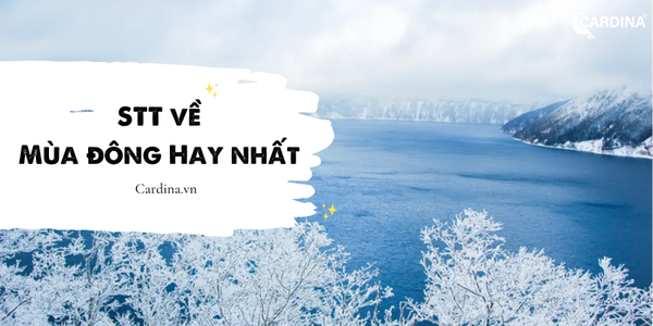 100+ Stt mùa đông ngắn gọn, cute, tâm trạng và hài hước hay nhất