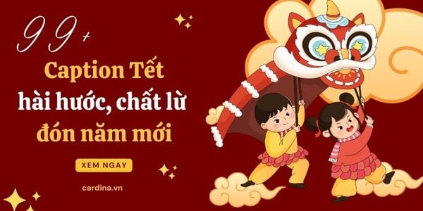 99+ caption Tết hài hước, chất lừ đón năm mới 2026