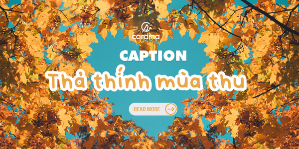 99+ Cap thả thính về mùa thu, caption hay về mùa thu 2026
