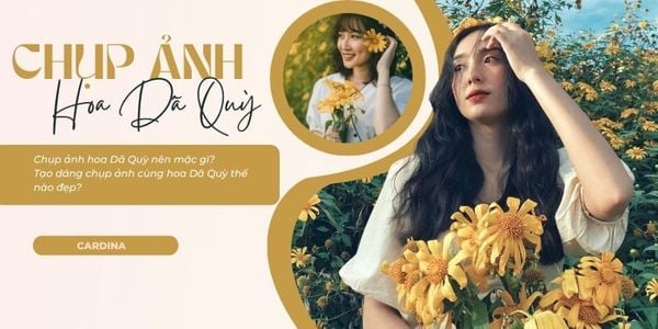 Chụp ảnh hoa Dã Quỳ mặc gì đẹp? Cách tạo dáng chụp ảnh hoa Dã Quỳ