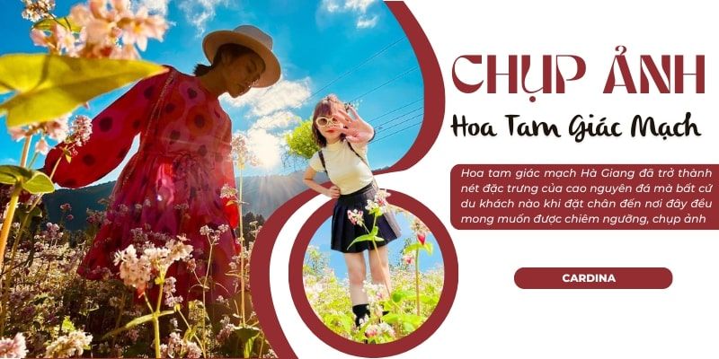 Top 15 cách tạo dáng chụp ảnh cùng hoa Tam Giác Mạch Hà Giang cực đỉnh