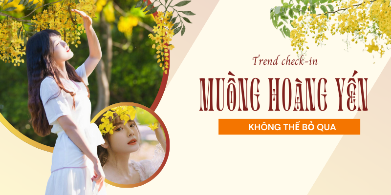 Tips đu trend chụp ảnh cùng hoa muồng hoàng yến khiến giới trẻ phát cuồng