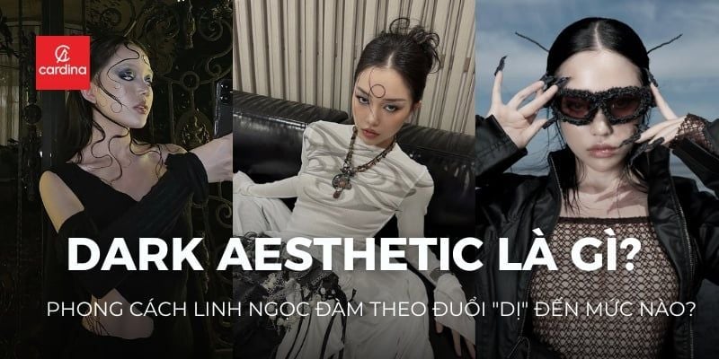 Dark Aesthetic Là Gì? Phong Cách Linh Ngọc Đàm Theo Đuổi 