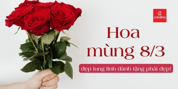 Top 15 Loại Hoa Mùng 8 Tháng 3 Đẹp Lung Linh Dành Tặng Phái Đẹp!