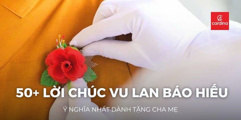 50+ Lời Chúc Vu Lan Báo Hiếu Ý Nghĩa Nhất Dành Tặng Cha Mẹ
