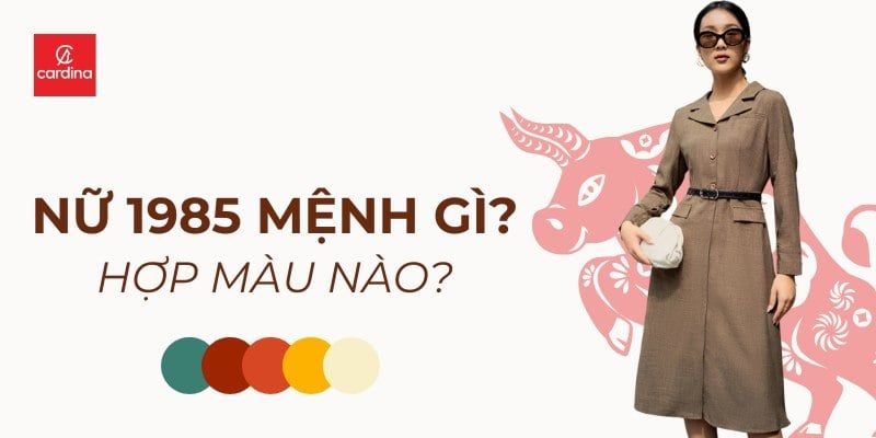 Nữ 1985 Mệnh Gì Hợp Màu Nào? Giải Mã Phong Thủy Chọn Đồ Thu Hút May Mắn, Thăng Hạng Nhan Sắc