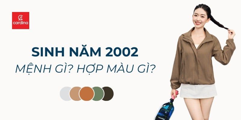 Sinh Năm 2002 Mệnh Gì? 10 Cách Phối Đồ Hút Vận May, Tài Lộc