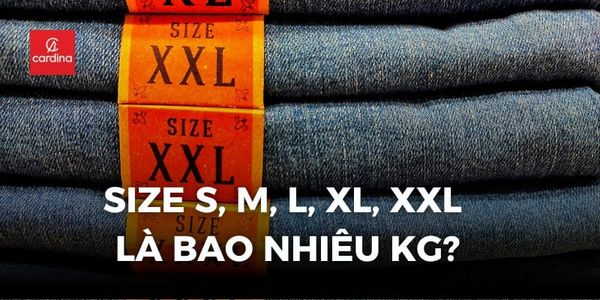 Size S, M, L, XL, XXL là bao nhiêu kg? Cách chọn size áo phù hợp với cân nặng