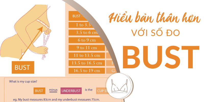 Bust size là gì? Các thông tin liên quan đến bust size