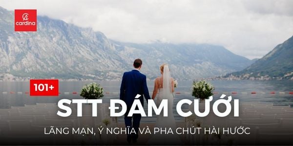 101+ stt đám cưới lãng mạn, ý nghĩa và pha chút hài hước