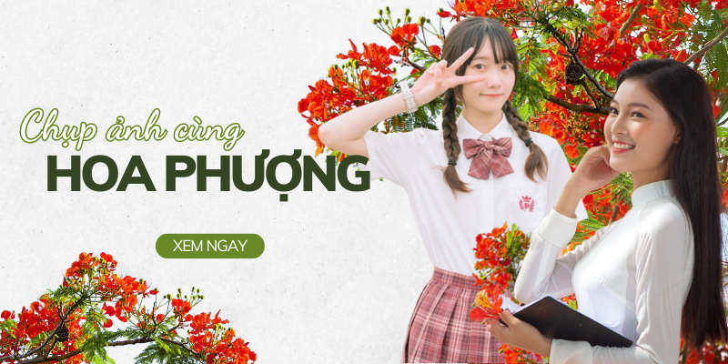 Chỉ nàng cách tạo dáng chụp ảnh cùng hoa phượng đẹp, cực ấn tượng