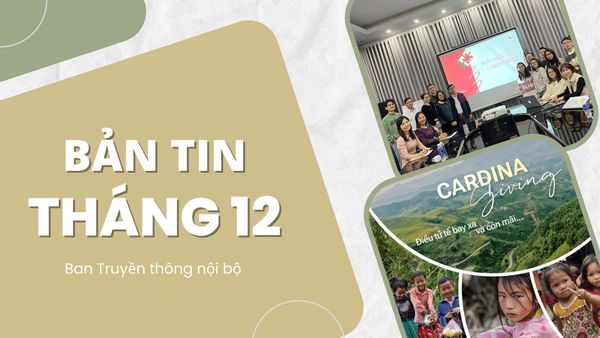 BẢN TIN TỔNG HỢP CARDINA THÁNG 12/2023