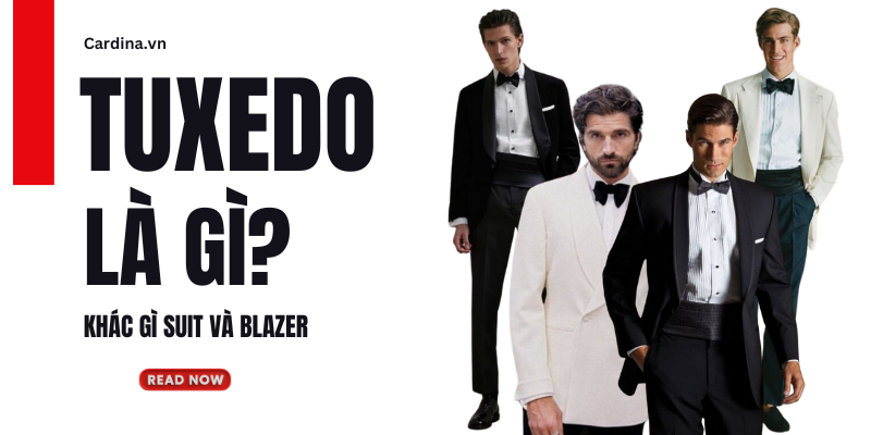 Tuxedo là gì? Những đặc điểm nổi bật và cách phân biệt với Suit, Blazer