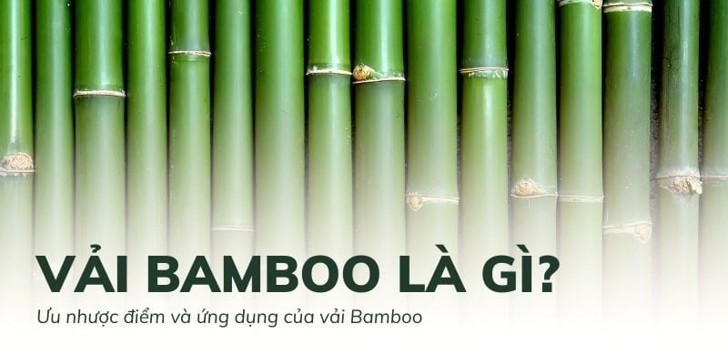 Vải Bamboo là gì? Ưu nhược điểm, ứng dụng của chất liệu Bamboo