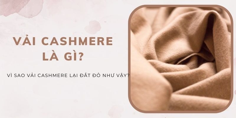 Vải cashmere là gì? Cùng tìm hiểu về Cashmere - chất liệu của giới thượng lưu