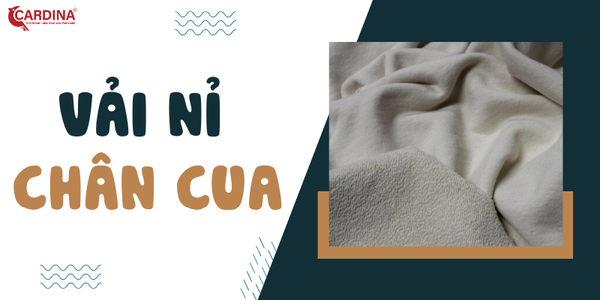 Vải chân cua là gì? Những ưu điểm và ứng dụng ít ai biết
