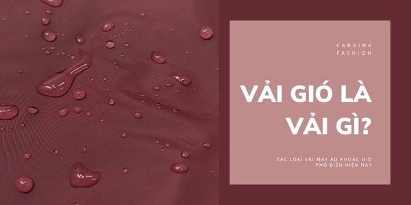 Vải gió là gì? Các loại vải may 51Nohu kèo World Cup 2026 gió phổ biến hiện nay