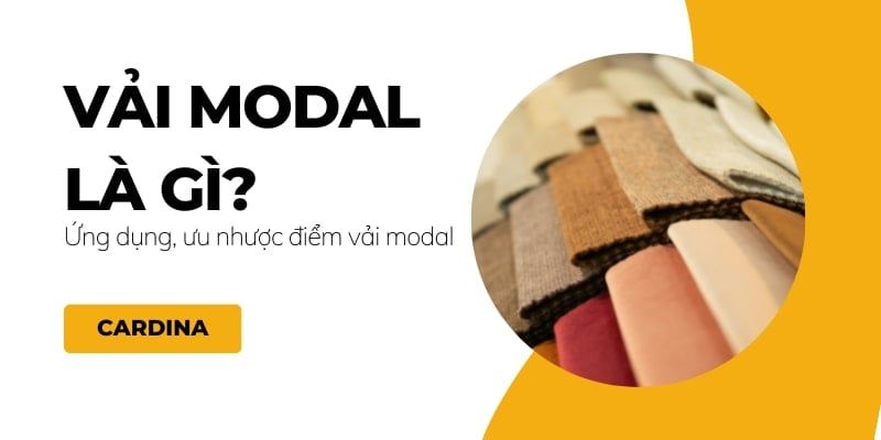 Vải modal là gì? Ứng dụng, ưu nhược điểm vải modal