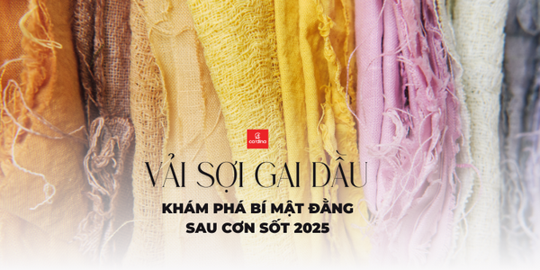 Vải sợi gai dầu hồi sinh: Khám phá bí mật đằng sau cơn sốt 2026