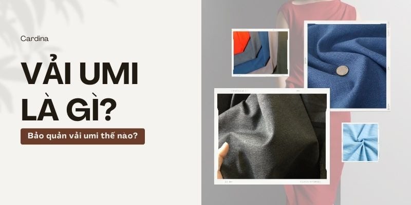 Vải umi là gì? Sử dụng và bảo quản vải umi như thế nào bền nhất?