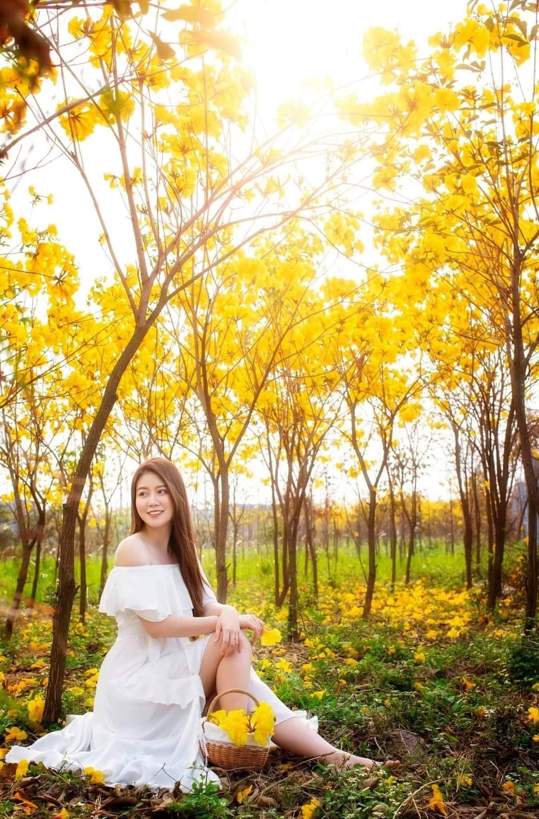tạo dáng chụp ảnh cùng hoa phong linh