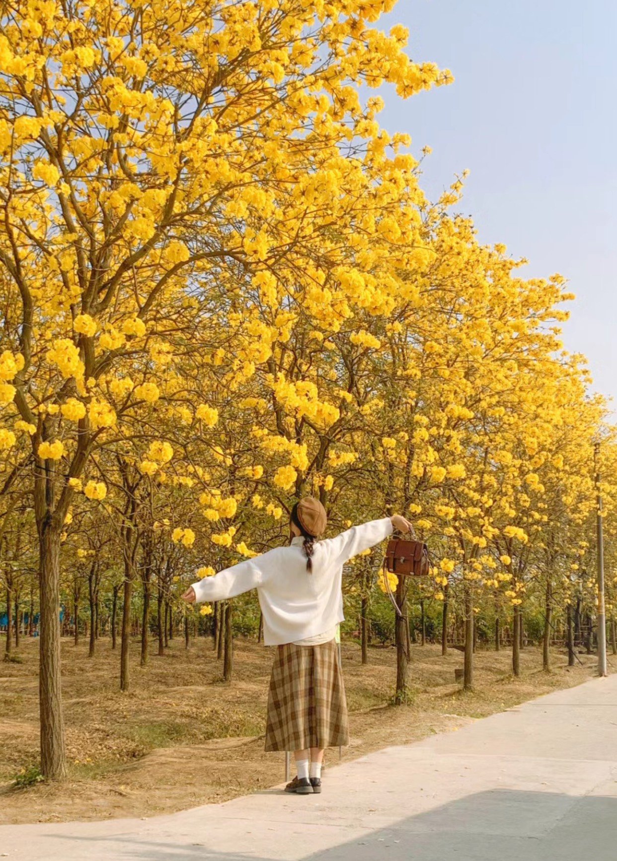 tạo dáng chụp ảnh cùng hoa phong linh
