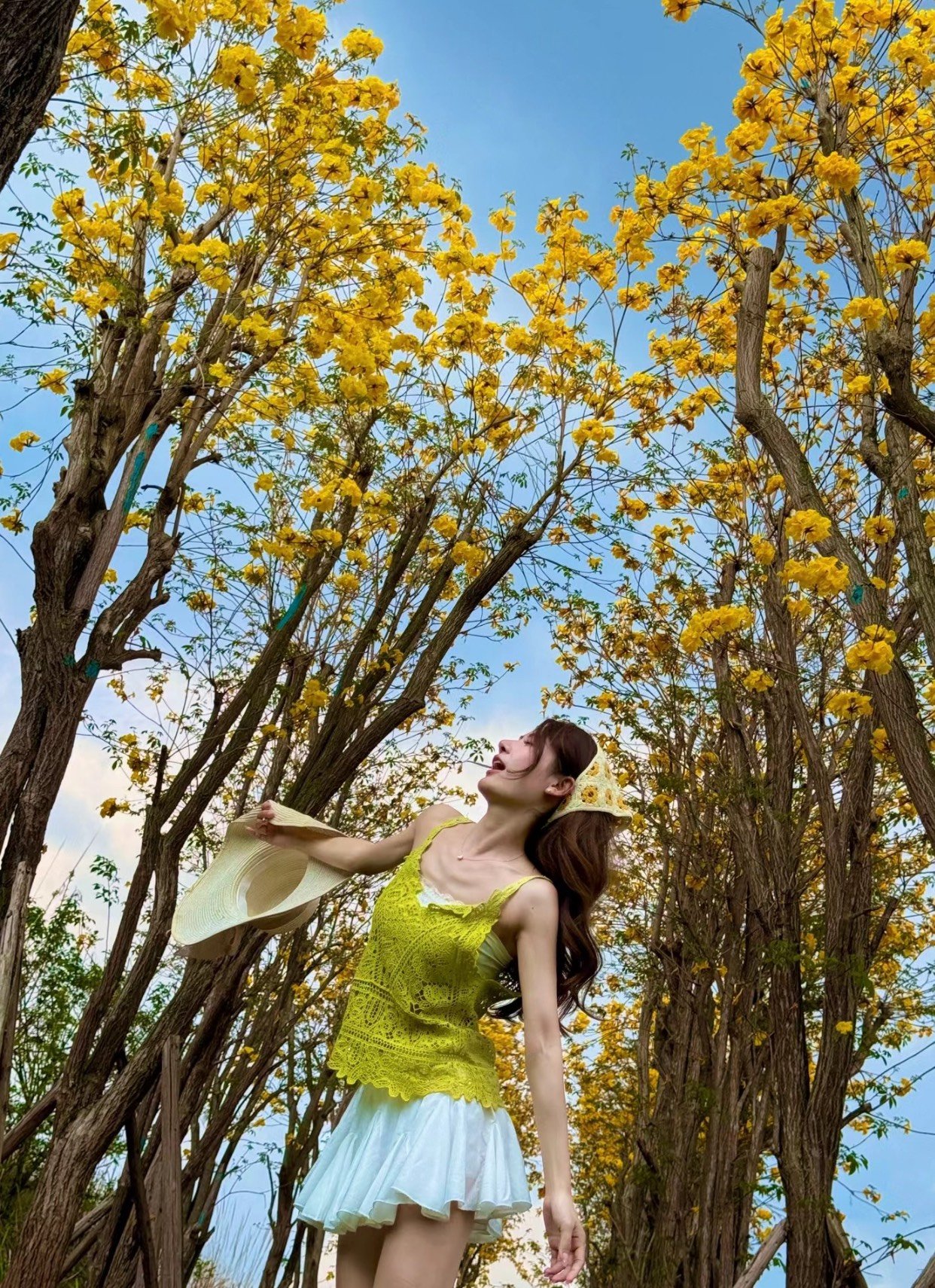 tạo dáng chụp ảnh cùng hoa phong linh