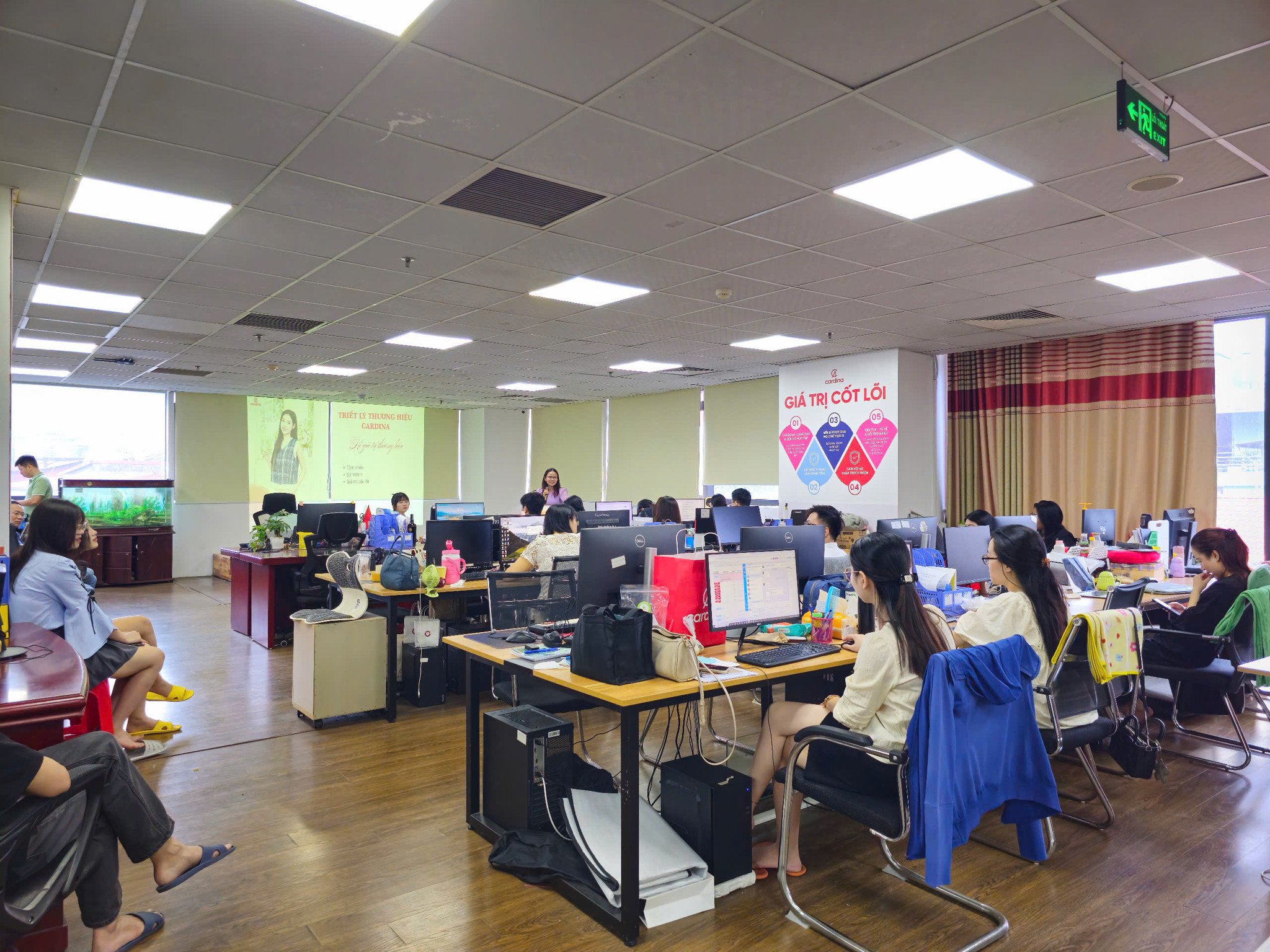 Nội lực bứt phá đưa Cardina dẫn đầu thị trường