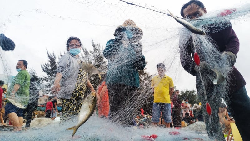 bãi biển long cung