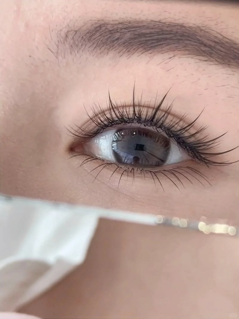 các dáng mi nối