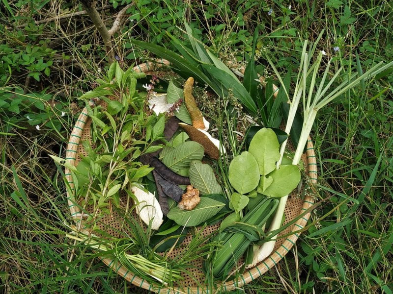 cách gội đầu đúng cách