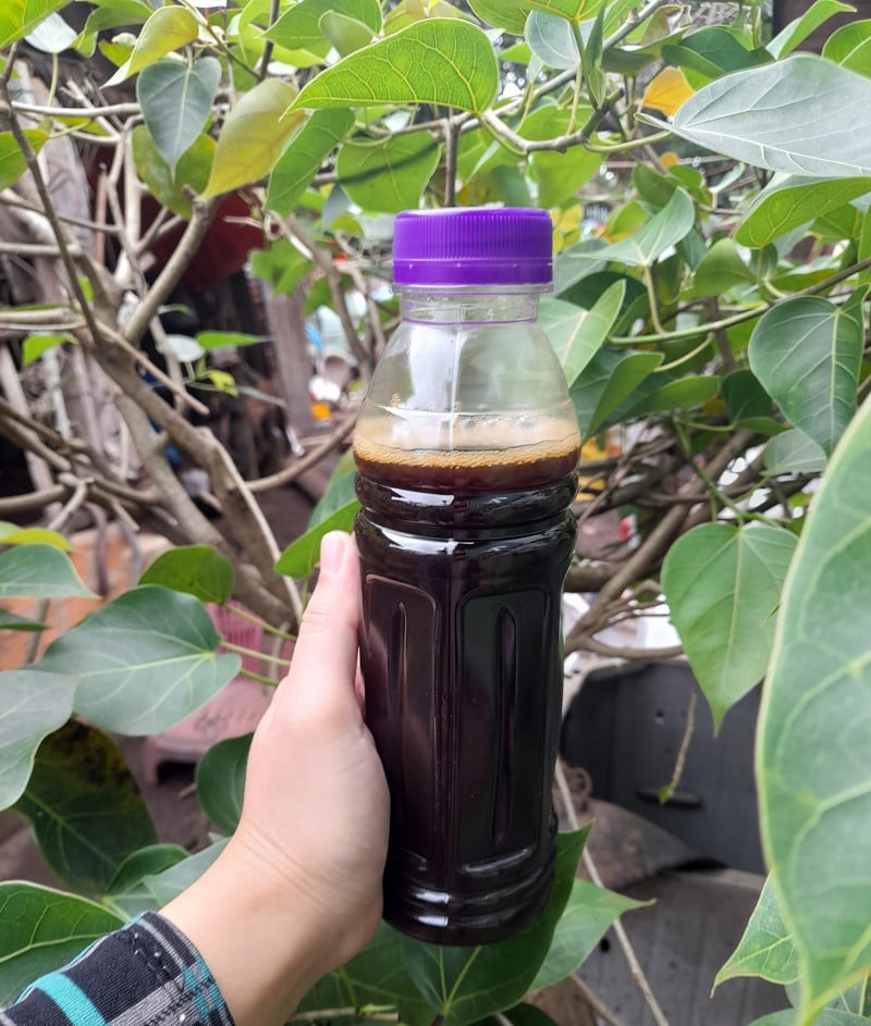 cách nấu bồ kết gội đầu