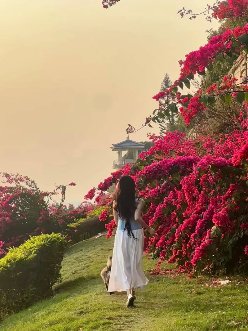 tạo dáng chụp ảnh cùng hoa giấy