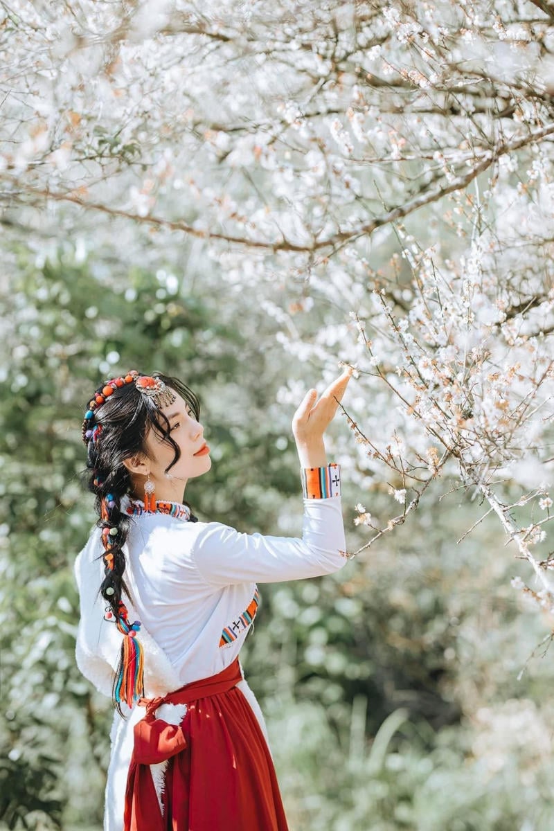 Dáng tương tác với hoa mận