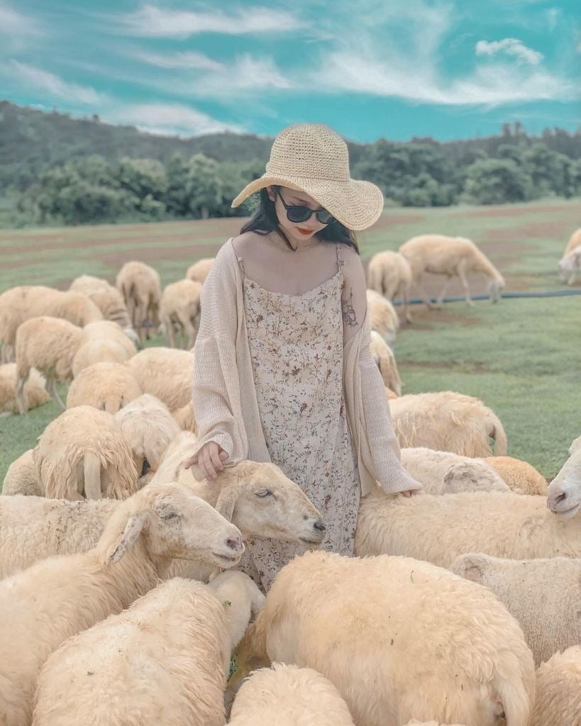Áo khoác cardigan dáng dài