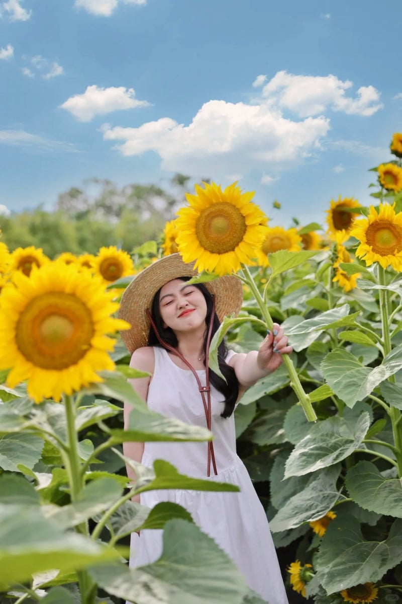 chụp ảnh với hoa