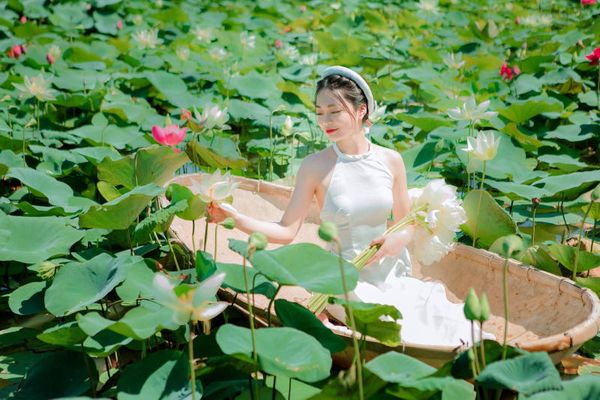 Hoa sen: Hoa sen là biểu tượng của sự thuần khiết và thanh nhã trong văn hoá Việt Nam. Hình ảnh của hoa sen sẽ mang lại sự tinh tế và ấm áp cho bức ảnh của bạn. Hãy thưởng thức những bức ảnh đẹp và đầy cảm hứng với hoa sen.