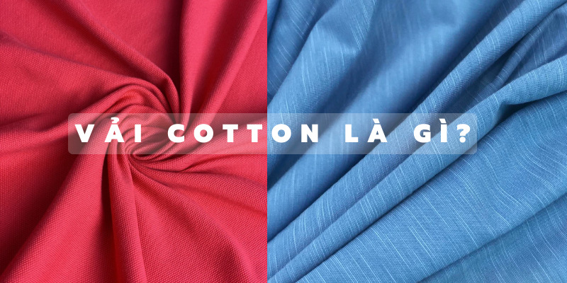 Vải cotton là gì?