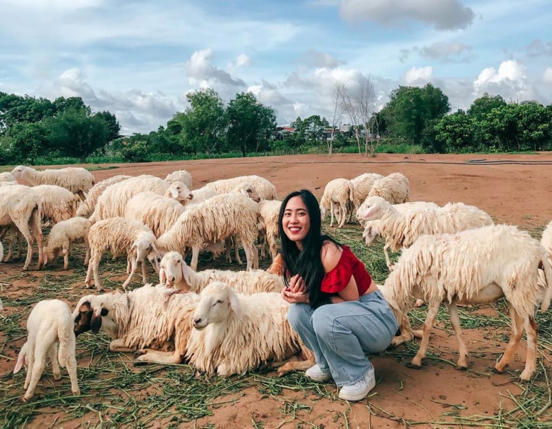 du lịch hồ tràm