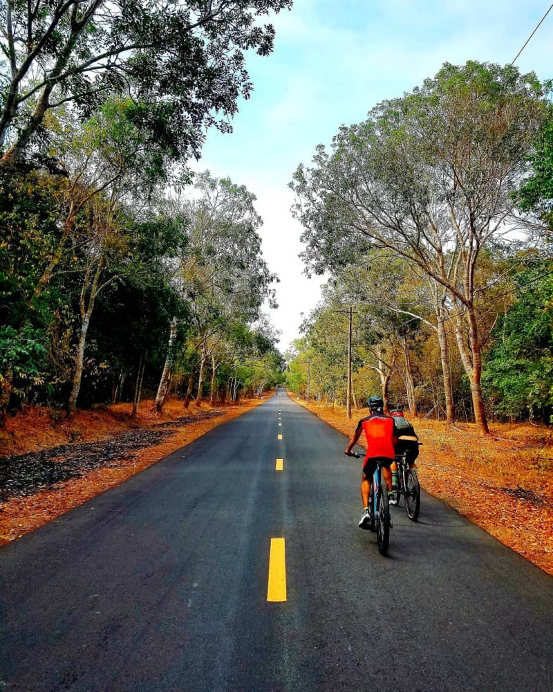 hồ tràm