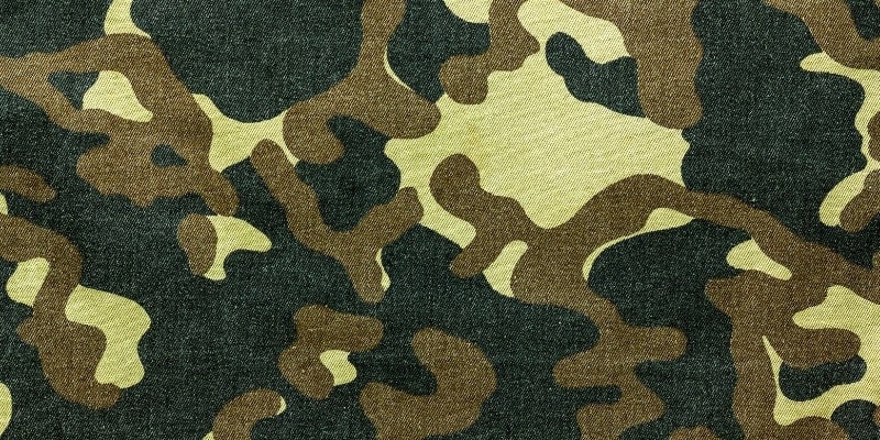 Họa tiết Camouflage là gì?