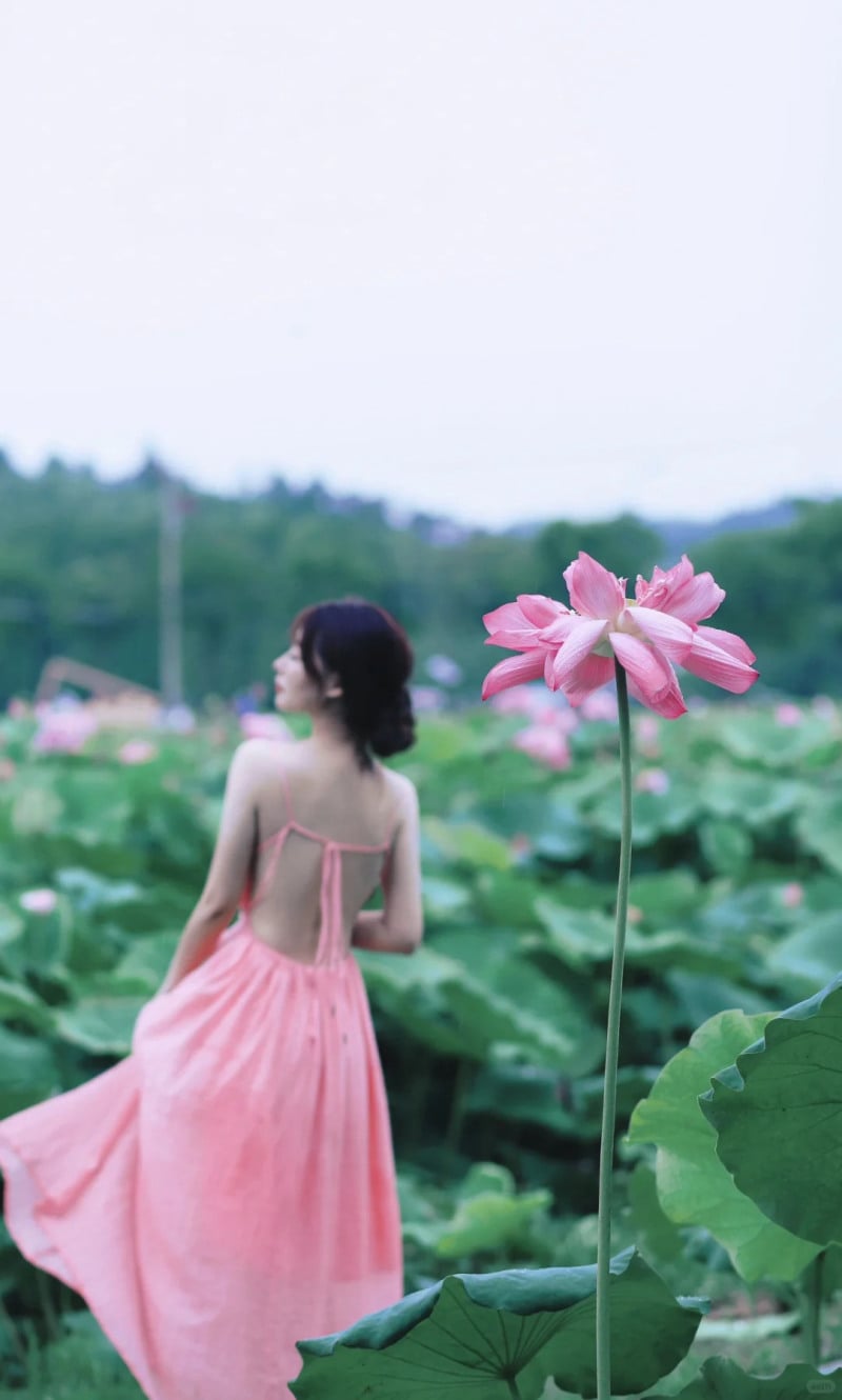 chụp ảnh với sen mặc gì