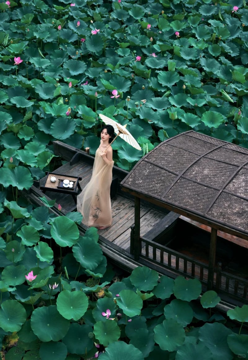 chụp ảnh với sen mặc gì