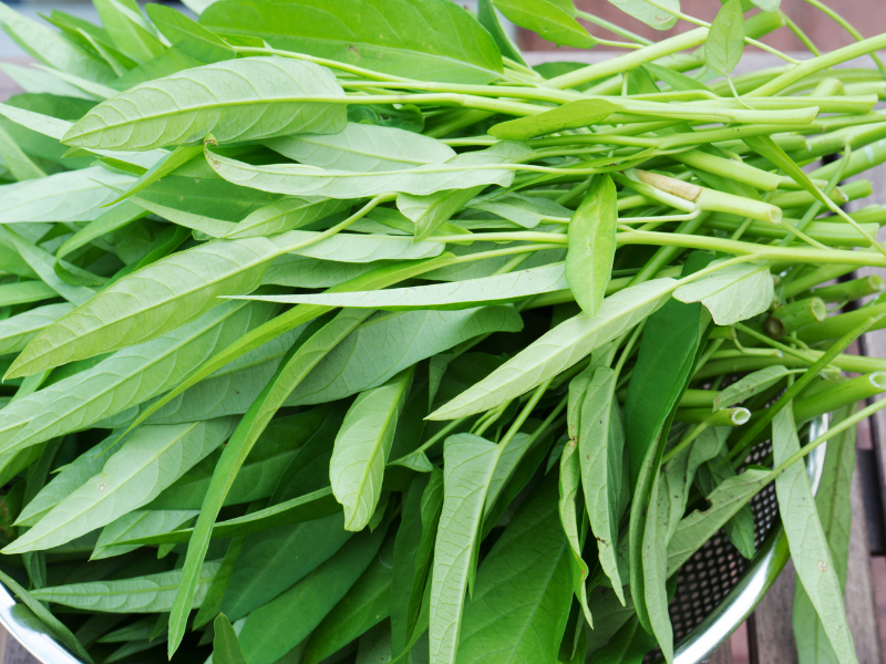 khử thâm môi kiêng ăn gì
